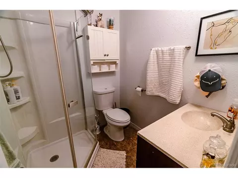 1626 E Path, Cotopaxi, CO 81223 photo 16