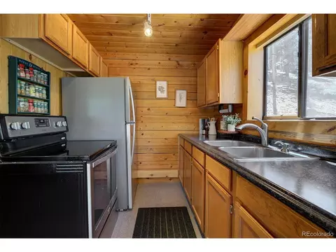 1994 Clark Rd, Bailey, CO 80421 photo 11