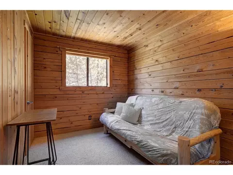 1994 Clark Rd, Bailey, CO 80421 photo 20