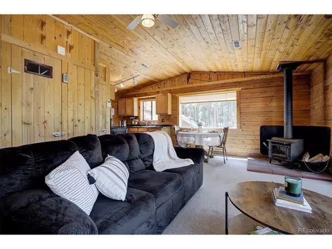 1994 Clark Rd, Bailey, CO 80421 photo 6