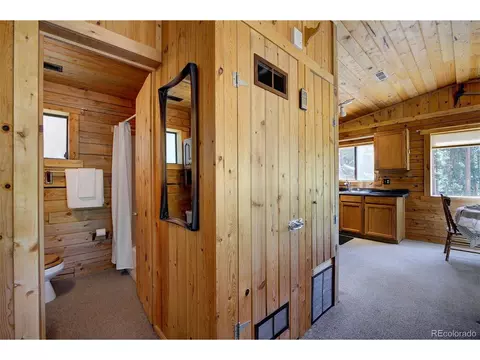 1994 Clark Rd, Bailey, CO 80421 photo 15