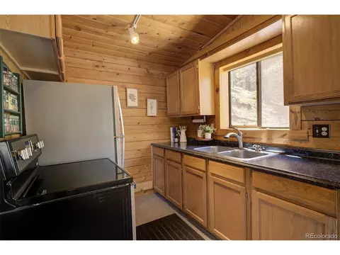 1994 Clark Rd, Bailey, CO 80421 photo 10