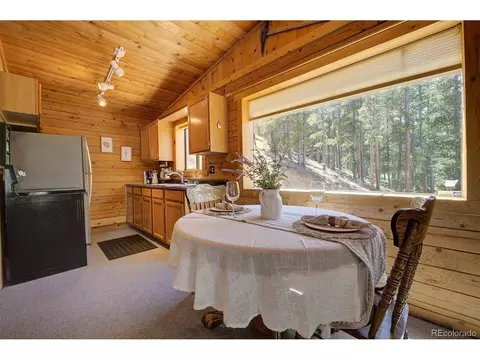 1994 Clark Rd, Bailey, CO 80421 photo 9