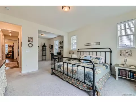 23098 E Narrowleaf Dr, Aurora, CO 80016 photo 38