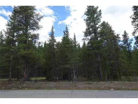 2 County Road 9, Leadville, CO 80461