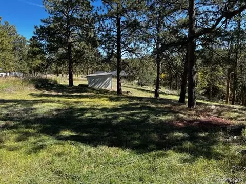 201 Bluebird Dr, Bailey, CO 80421 photo 38