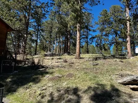 201 Bluebird Dr, Bailey, CO 80421 photo 40
