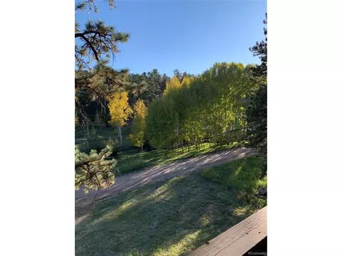 201 Bluebird Dr, Bailey, CO 80421 photo 6