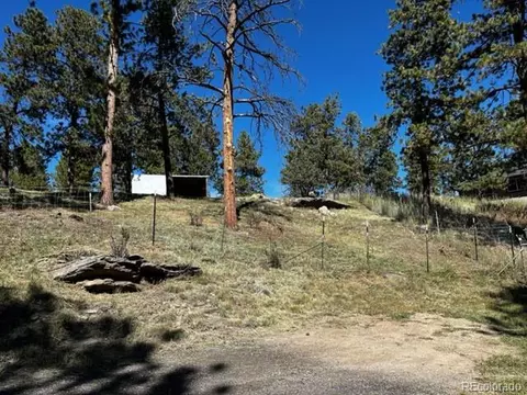 201 Bluebird Dr, Bailey, CO 80421 photo 39