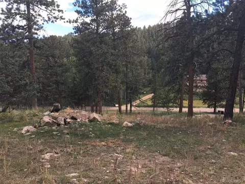 201 Bluebird Dr, Bailey, CO 80421 photo 41