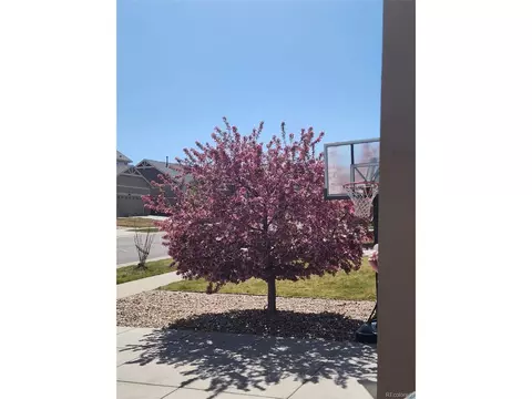 24317 E Powers Ave, Aurora, CO 80016 photo 36