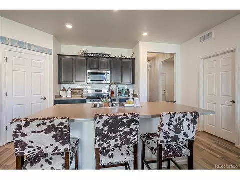 7310 Fraser Cir, Frederick, CO 80530 photo 20