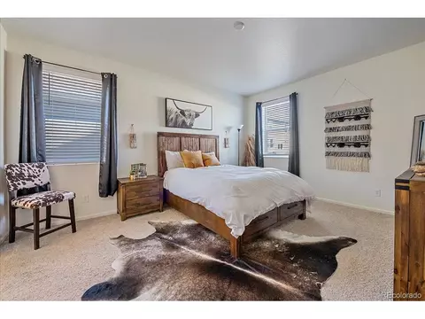 7310 Fraser Cir, Frederick, CO 80530 photo 21