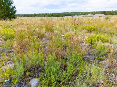 Platte Dr, Fairplay, CO 80440 photo 18