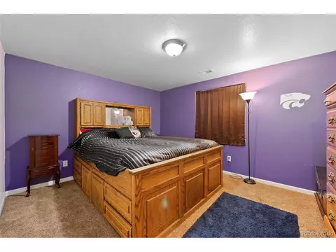 10897 E 167th Pl, Brighton, CO 80602 photo 28