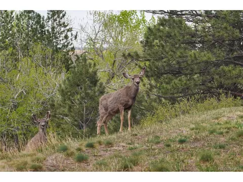 Other - 8664 Middle Fork Rd, Boulder, CO 80302 photo 12 of 12