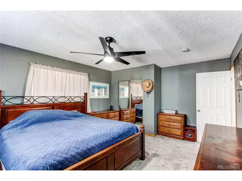 119 Raven Dr, Bailey, CO 80421 photo 10