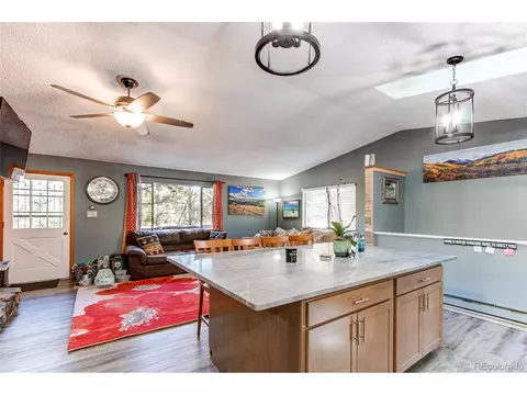 119 Raven Dr, Bailey, CO 80421 photo 3