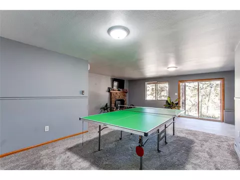 119 Raven Dr, Bailey, CO 80421 photo 13