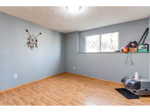 119 Raven Dr, Bailey, CO 80421 photo 17
