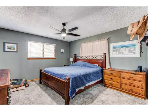 119 Raven Dr, Bailey, CO 80421 photo 9
