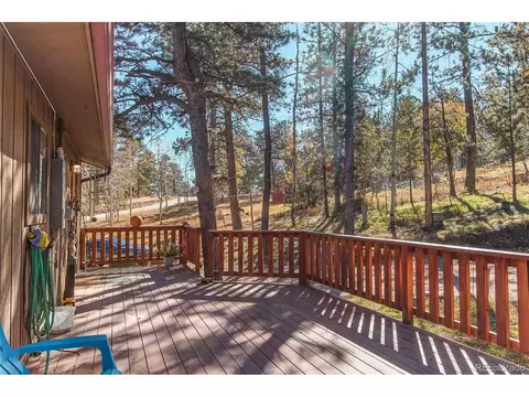 119 Raven Dr, Bailey, CO 80421 photo 23