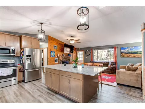 119 Raven Dr, Bailey, CO 80421 photo 2
