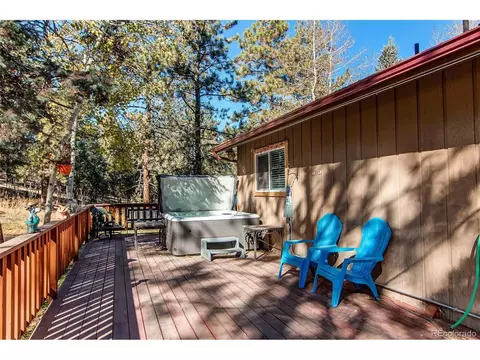 119 Raven Dr, Bailey, CO 80421 photo 22