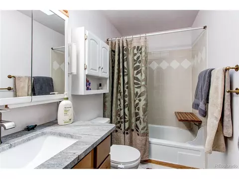 119 Raven Dr, Bailey, CO 80421 photo 8