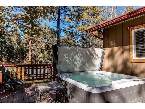 119 Raven Dr, Bailey, CO 80421 photo 24