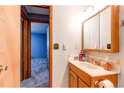 119 Raven Dr, Bailey, CO 80421 photo 16