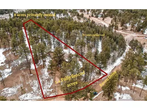 119 Raven Dr, Bailey, CO 80421 photo 36