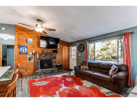 119 Raven Dr, Bailey, CO 80421 photo 6