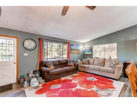 119 Raven Dr, Bailey, CO 80421 photo 7