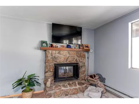 119 Raven Dr, Bailey, CO 80421 photo 14