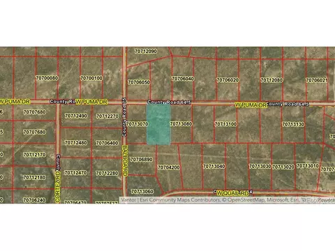 14 Puma Dr, Fort Garland, CO 81133