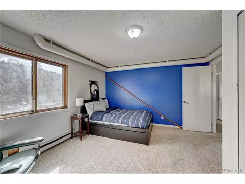 760 Wisp Creek Dr, Bailey, CO 80421 photo 23