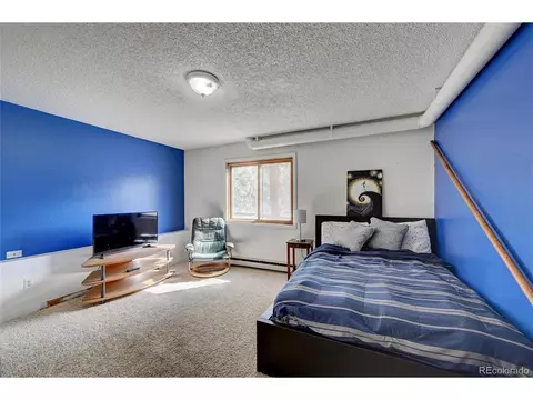 760 Wisp Creek Dr, Bailey, CO 80421 photo 22