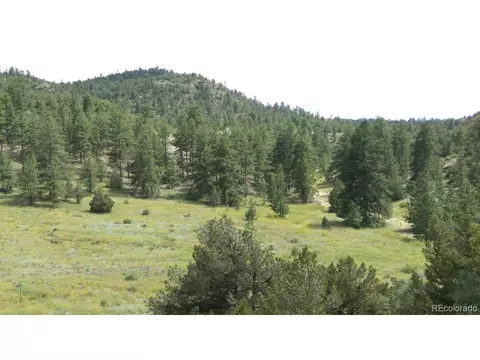 Bear Run, Cotopaxi, CO 81223 photo 2