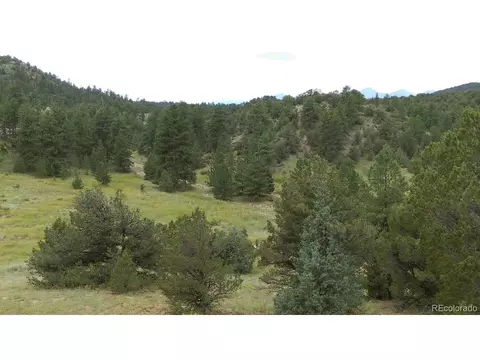 Bear Run, Cotopaxi, CO 81223 photo 3