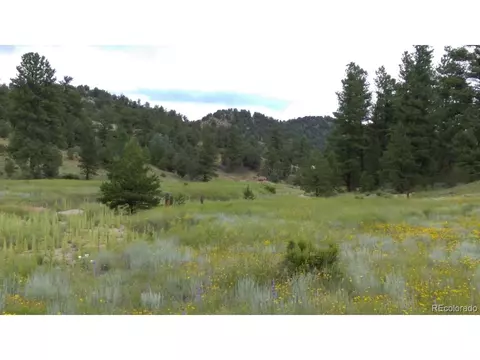 Bear Run, Cotopaxi, CO 81223