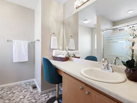 21408 E 46th Ave, Denver, CO 80249 photo 23