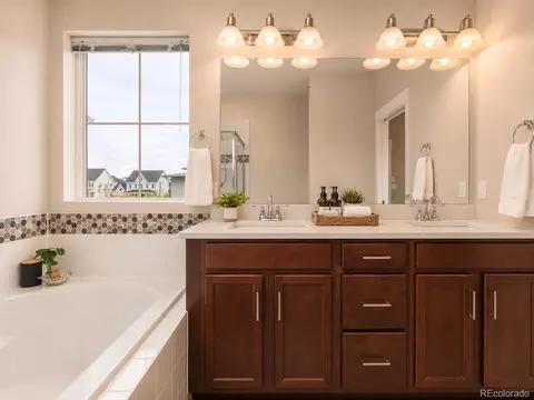 Bath - 10080 E 59th Dr, Denver, CO 80238 photo 3 of 5