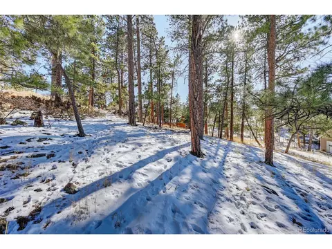 182 Raven Dr, Bailey, CO 80421 photo 22