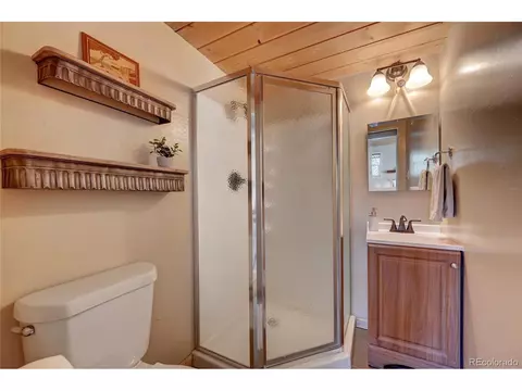 182 Raven Dr, Bailey, CO 80421 photo 18