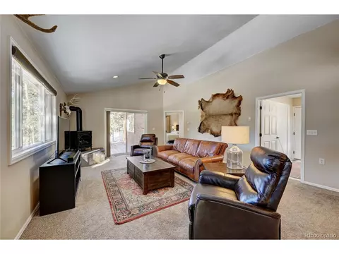182 Raven Dr, Bailey, CO 80421 photo 9