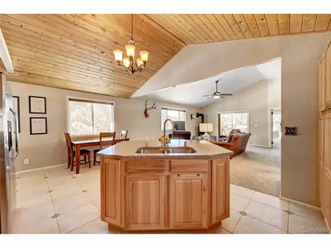 182 Raven Dr, Bailey, CO 80421 photo 5