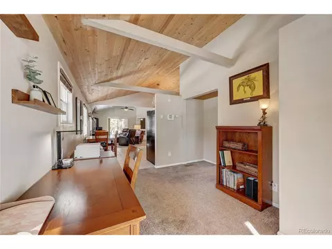 182 Raven Dr, Bailey, CO 80421 photo 2