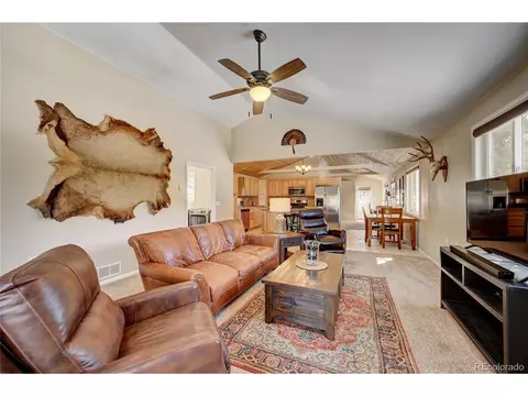 182 Raven Dr, Bailey, CO 80421 photo 10