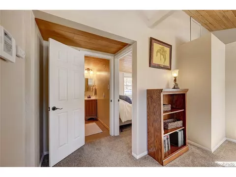 182 Raven Dr, Bailey, CO 80421 photo 16